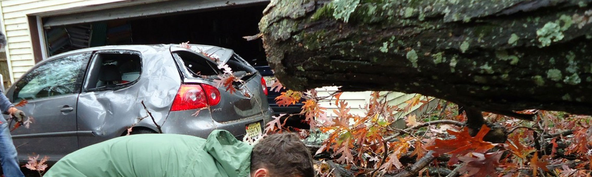 Storm-damaged tree near a vehicle